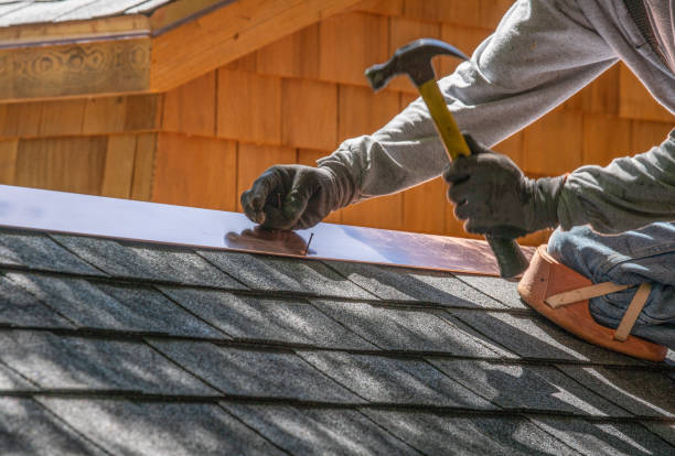 Best Sheet Metal Roofing  in Little Elm, TX